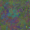 World at epoch 29000