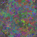 World at epoch 37000