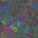 World at epoch 31000