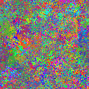 World at epoch 40000