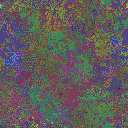 World at epoch 31000