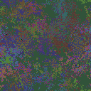 World at epoch 31000