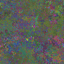 World at epoch 34000