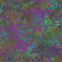 World at epoch 35000