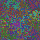 World at epoch 35000