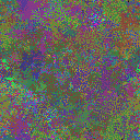 World at epoch 35000
