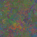 World at epoch 35000