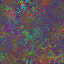 World at epoch 24000