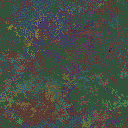 World at epoch 37000