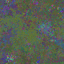 World at epoch 37000