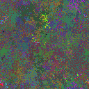 World at epoch 38000