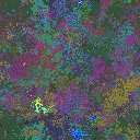World at epoch 38000