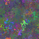 World at epoch 39000