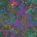 World at epoch 39000