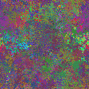 World at epoch 38000