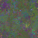 World at epoch 38000