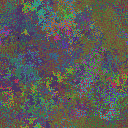 World at epoch 26000