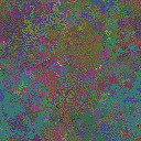 World at epoch 39000