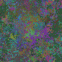 World at epoch 40000