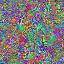 World at epoch 25000