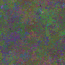 World at epoch 40000