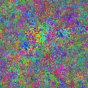 World at epoch 29000