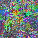 World at epoch 24000