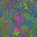 World at epoch 24000