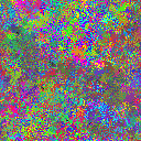 World at epoch 25000