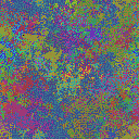 World at epoch 25000