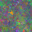 World at epoch 25000