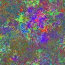 World at epoch 25000