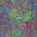 World at epoch 39000
