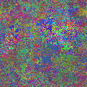 World at epoch 40000