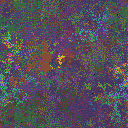 World at epoch 30000