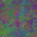 World at epoch 31000