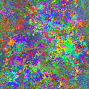 World at epoch 29000