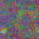 World at epoch 40000