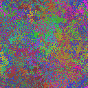 World at epoch 25000