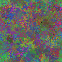 World at epoch 40000