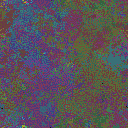 World at epoch 40000