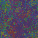 World at epoch 38000