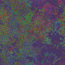 World at epoch 30000