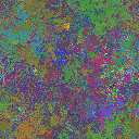 World at epoch 34000