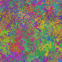 World at epoch 25000