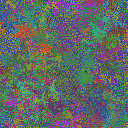 World at epoch 25000
