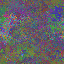 World at epoch 35000