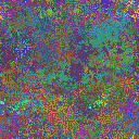 World at epoch 38000