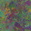 World at epoch 37000