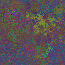 World at epoch 35000